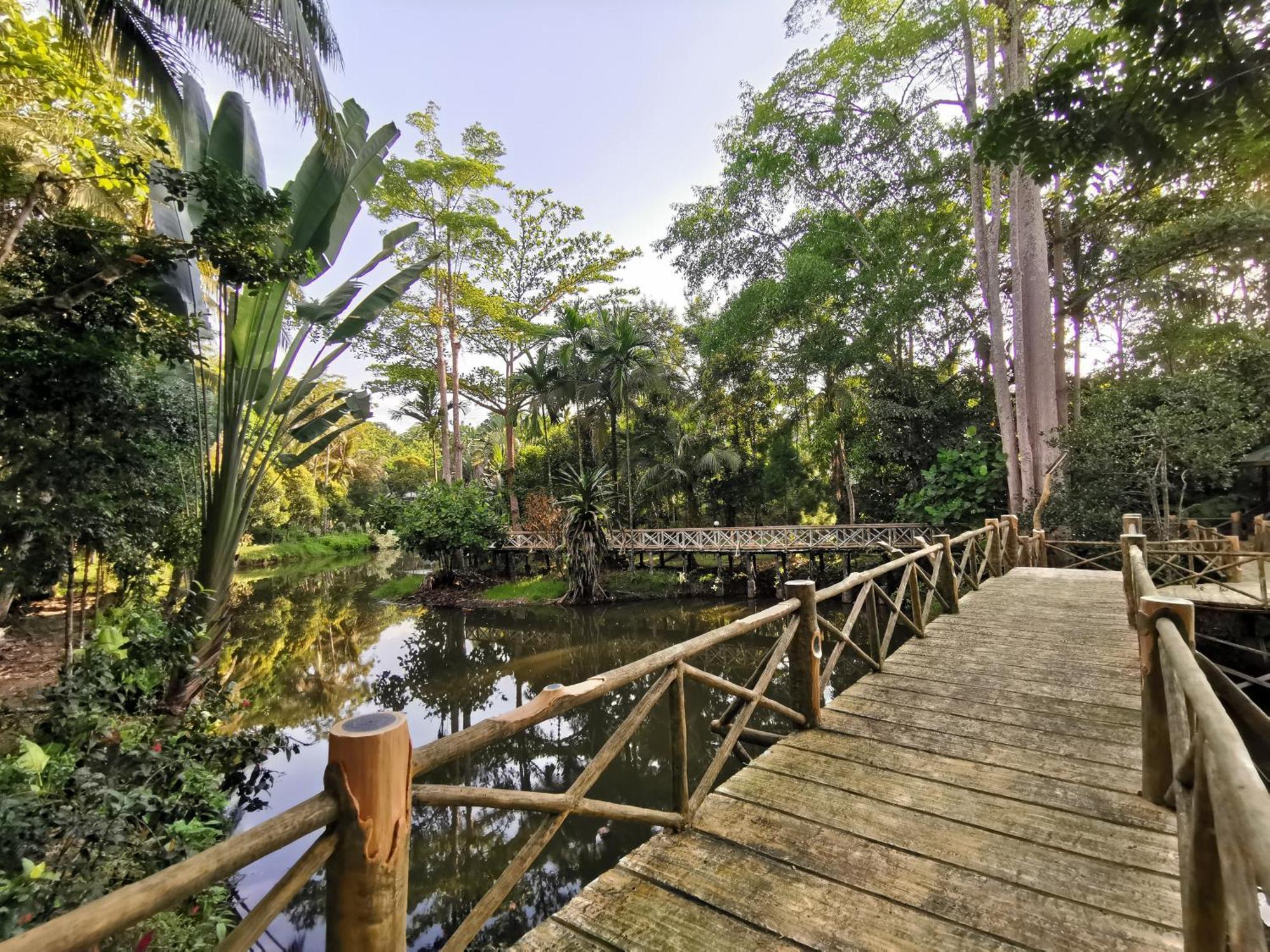 Sepilok Jungle Resort מראה חיצוני תמונה