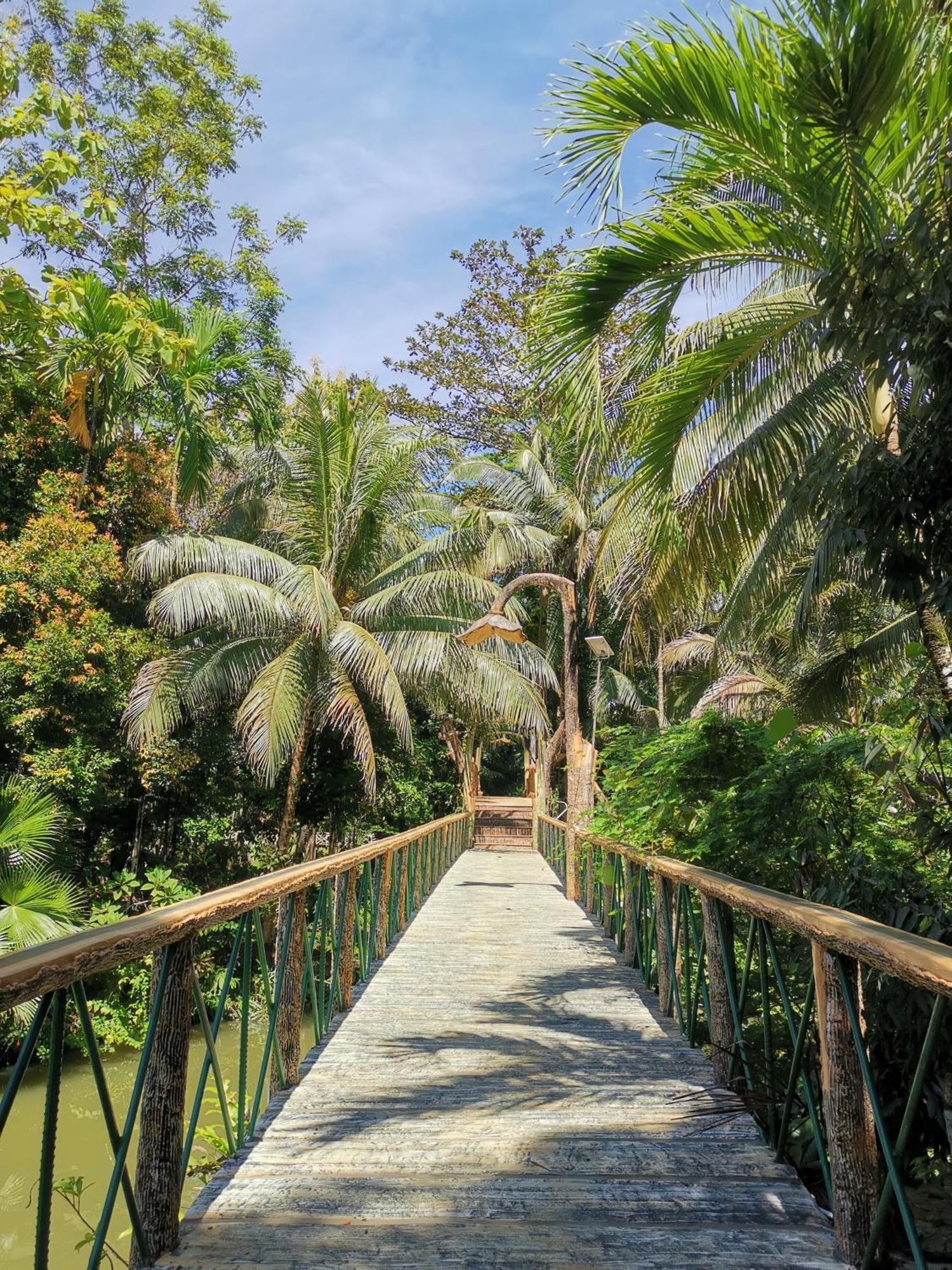 Sepilok Jungle Resort מראה חיצוני תמונה