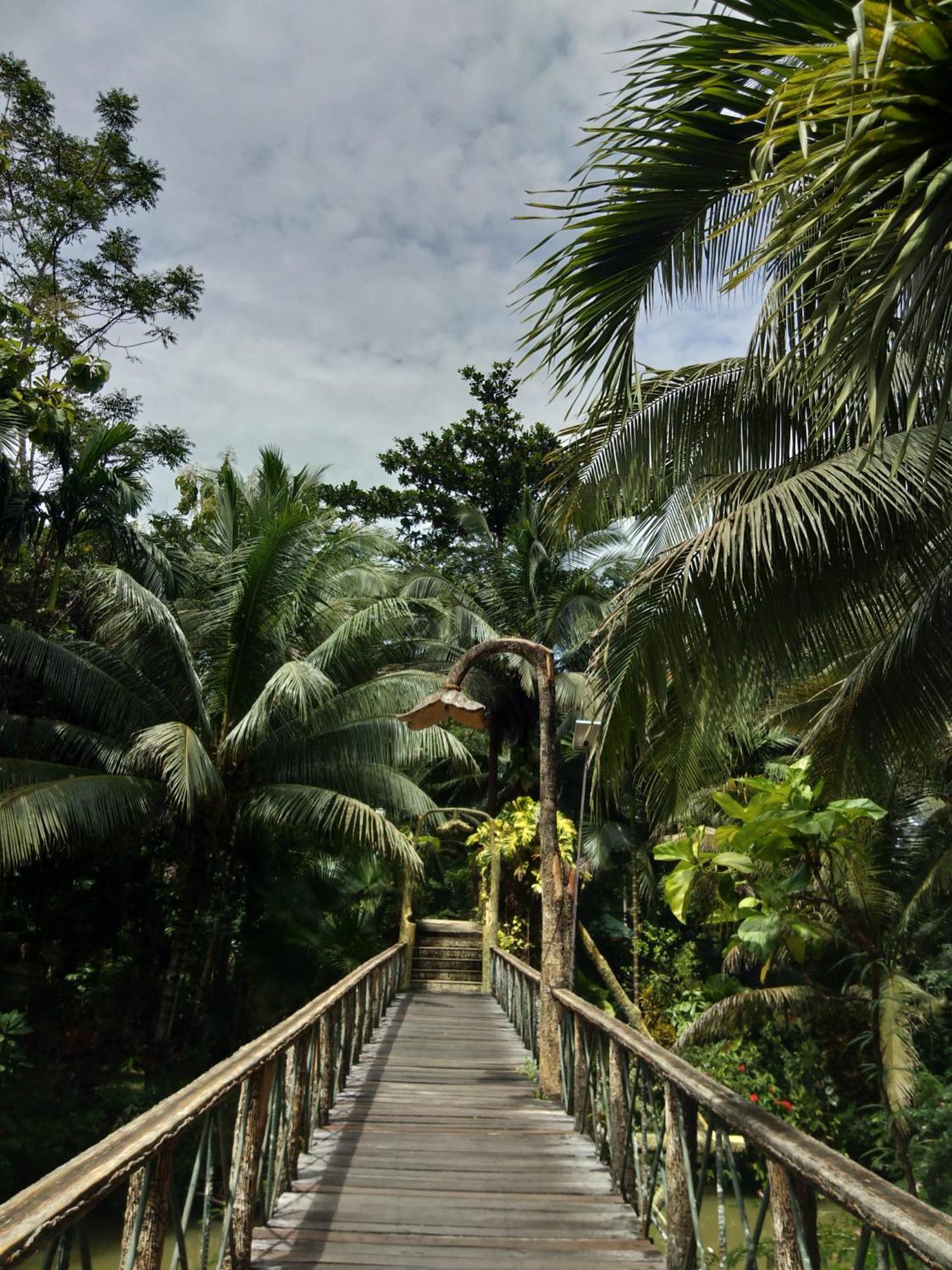 Sepilok Jungle Resort מראה חיצוני תמונה