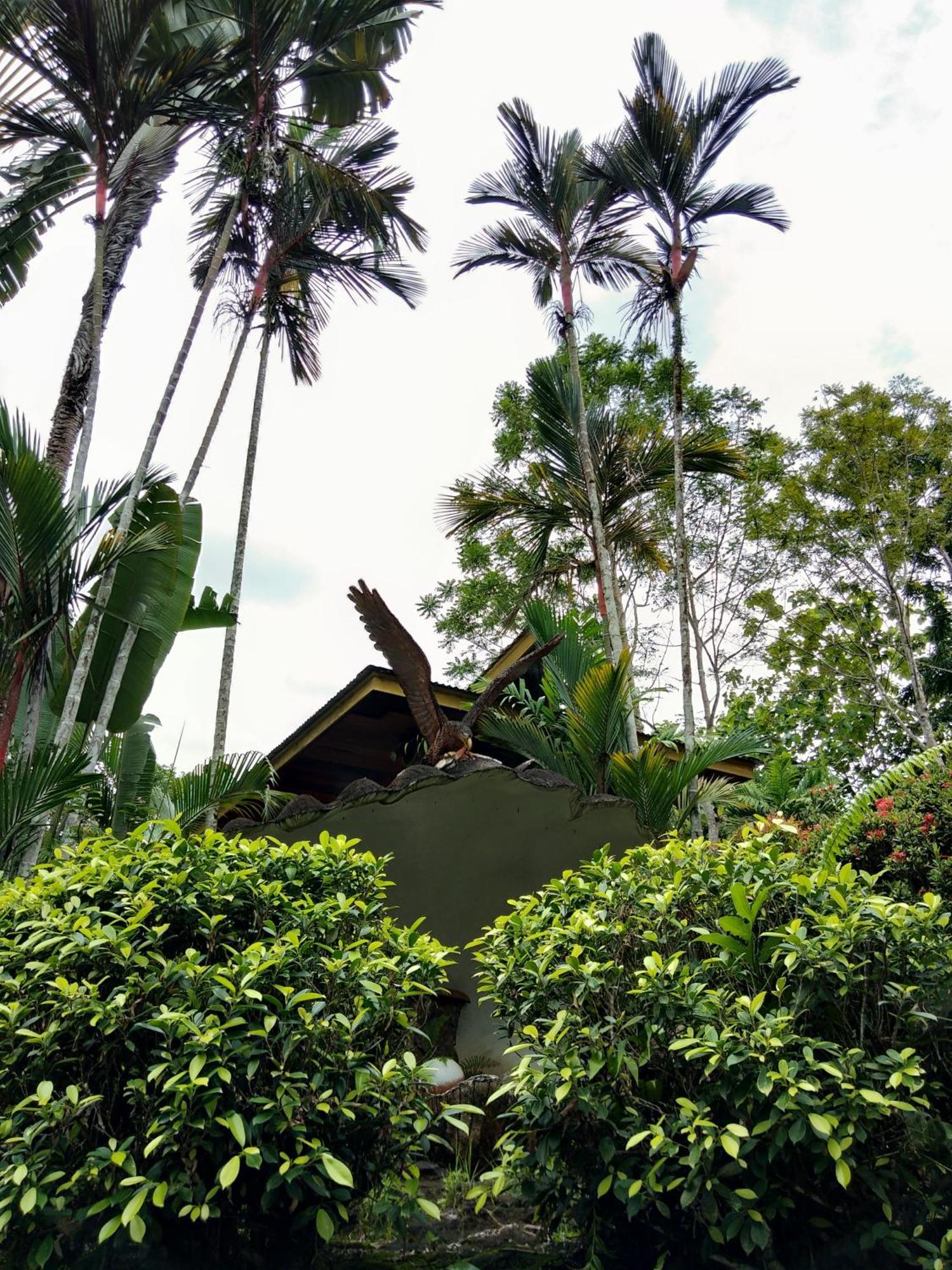 Sepilok Jungle Resort מראה חיצוני תמונה