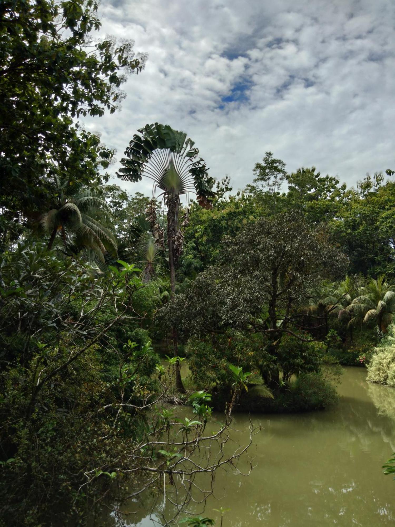Sepilok Jungle Resort מראה חיצוני תמונה